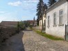 Kir�lyhelmec