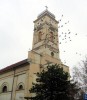 Torda